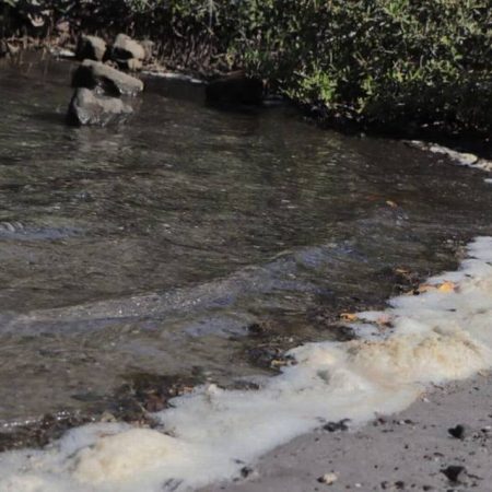 Especies marinas de playa Balandra no fueron afectados tras el derrame de hidrocarburos – El Sol de Sinaloa