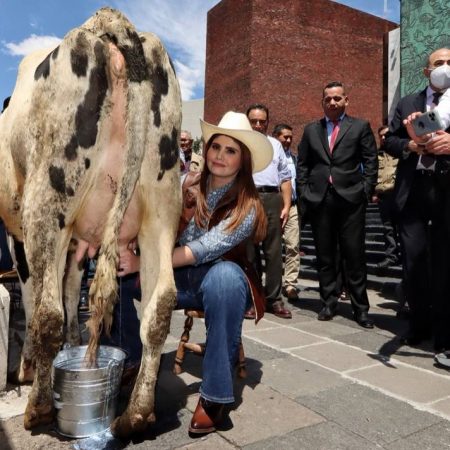 Ganaderos piden que la leche sea considera alimento y no bebida – El Sol de Sinaloa