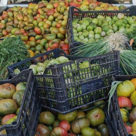 Licencia para importación de alimentos pretende eliminar burocracia: AMLO – El Sol de Sinaloa