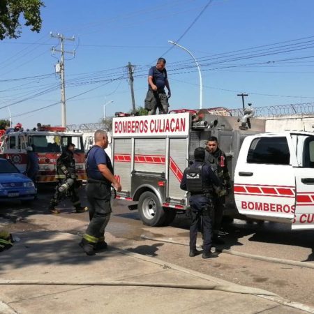 Incendio en colonia Pemex se cobra la vida de un felino y deja varios daños materiales – El Sol de Sinaloa