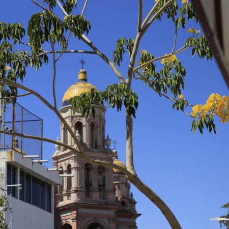 Así amanece el clima para hoy 11 de diciembre en Sinaloa – El Sol de Sinaloa