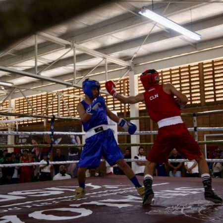 Ahome ya tiene tres oros en el boxeo – El Sol de Sinaloa