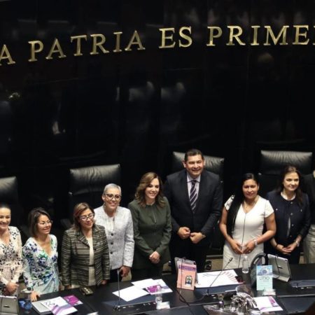 Dan tres días al Senado para cumplir con designación de comisionados del INAI – El Sol de Sinaloa