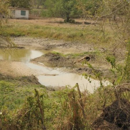 Se alistan 14 estados para combatir sequía – El Sol de Sinaloa
