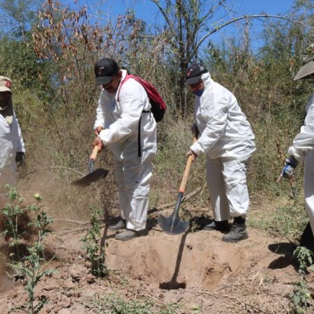 Madres rastreadoras localizan más fosas clandestinas que el gobierno en Sinaloa – El Sol de Sinaloa