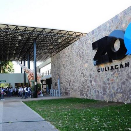 Zoológico otra de las atracciones para disfrutar y convivir durante Semana Santa – El Sol de Sinaloa