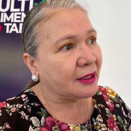 Sin planes para crear centros de rehabilitación públicos; Martha Torres – El Sol de Sinaloa