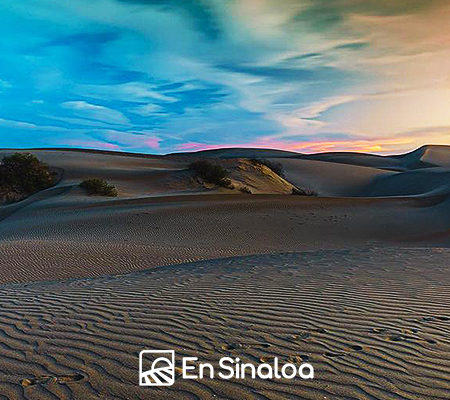 Isla Altamura, el Sahara mexicano que debes conocer en tu visita a Sinaloa